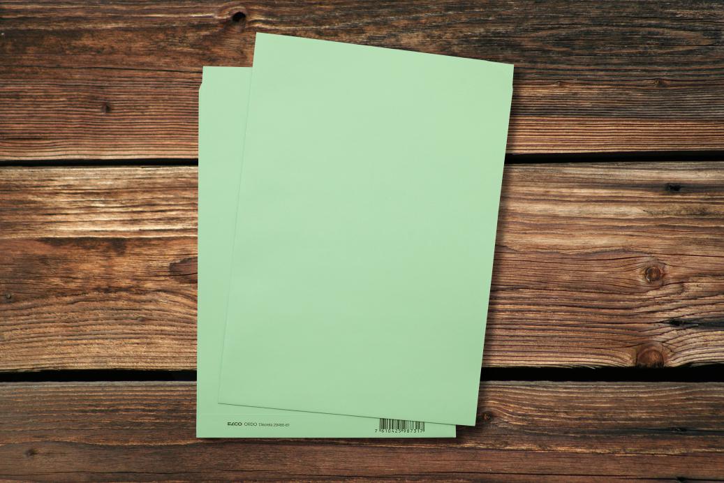 Ordnungsmappen 220x310 mm Hellgrün 120 g/qm